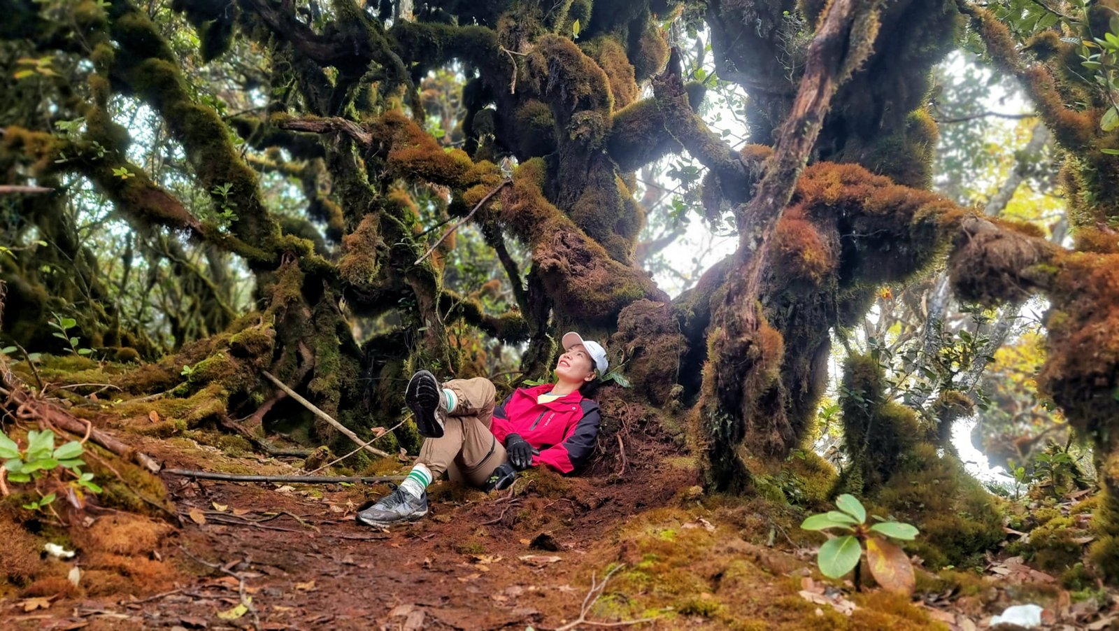 4 Days Hoang Su Phi Hiking Experience